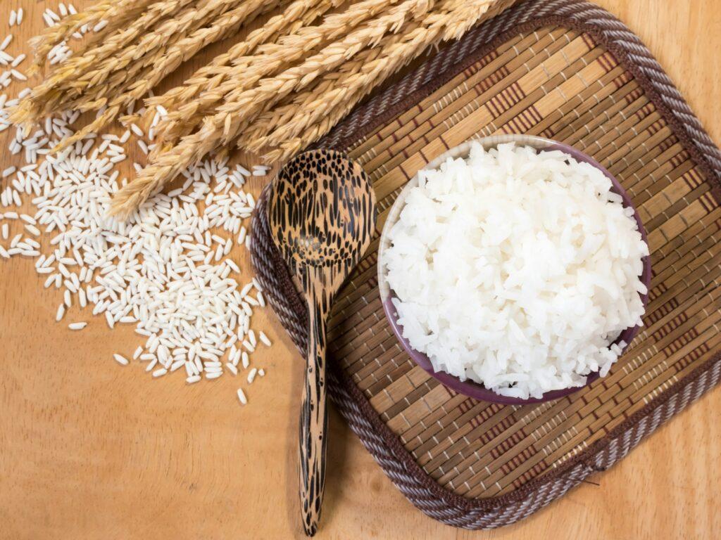 Cooked rice in bowl with raw rice grain and dry rice plant on wooden table background.