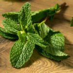 Raw Green Organic Fresh Mint