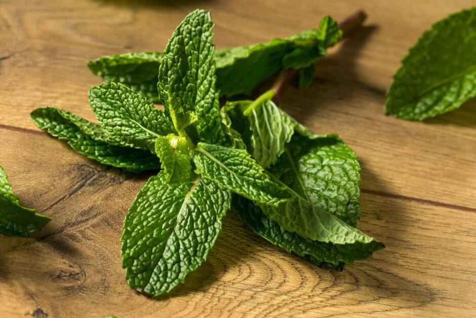 Raw Green Organic Fresh Mint