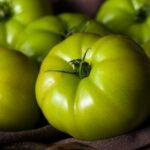 Raw Organic Green Tomatoes