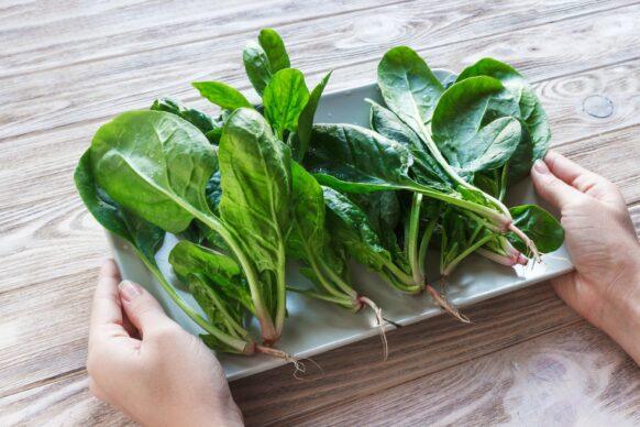 Fresh spinach in a plate on rustic wooden background. Meal preparation concept