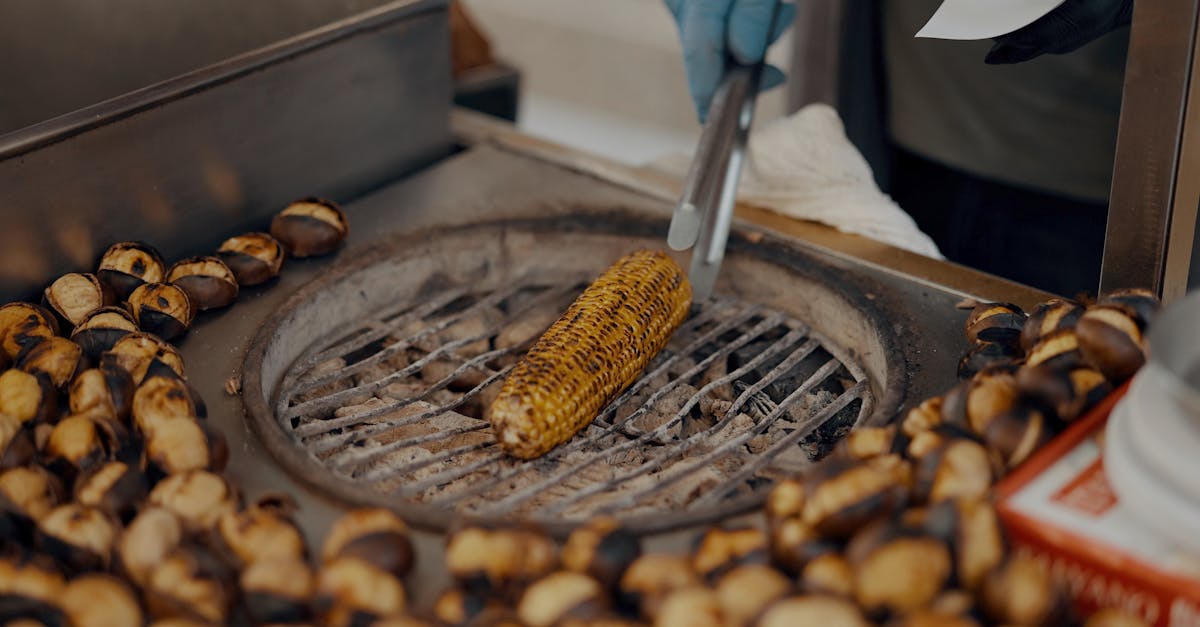 découvrez tout sur les châtaignes : leurs bienfaits pour la santé, des recettes savoureuses et des conseils pour les déguster à la saison des récoltes.