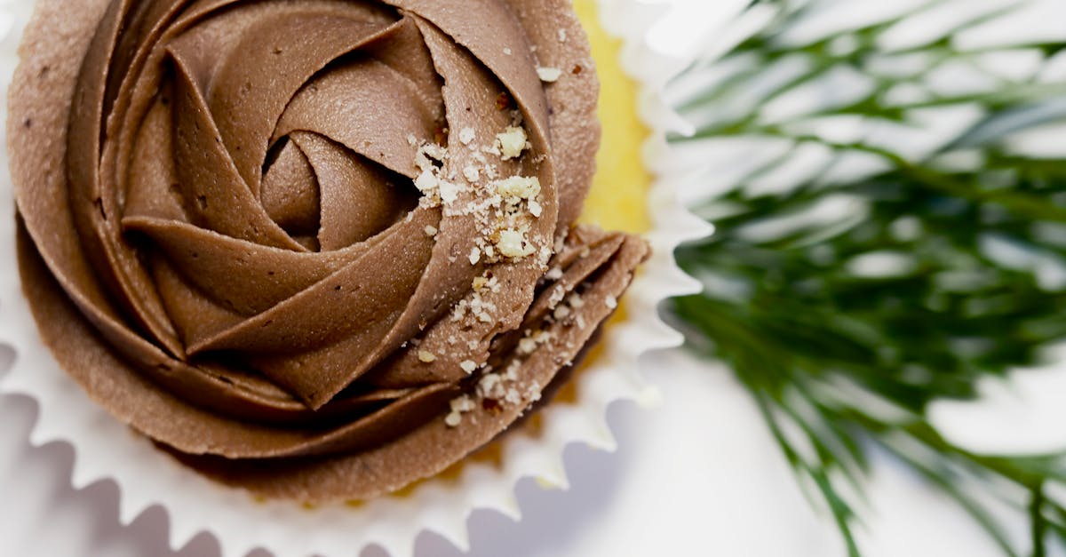 découvrez notre délicieuse recette de gâteau au chocolat, un dessert irrésistible qui ravira tous les amateurs de chocolat. avec sa texture moelleuse et son goût intense, ce gâteau est parfait pour toutes les occasions, des anniversaires aux soirées entre amis. apprenez à le préparer facilement et régalez vos proches avec cette douceur gourmande.