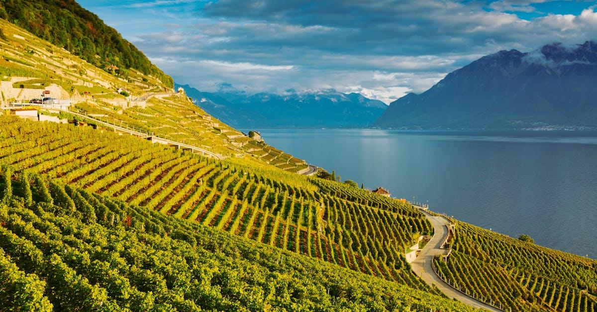 découvrez loc lac, votre destination idéale pour des vacances authentiques au bord du lac. profitez d'activités de plein air, de paysages à couper le souffle et d'une ambiance tranquille pour un séjour inoubliable.