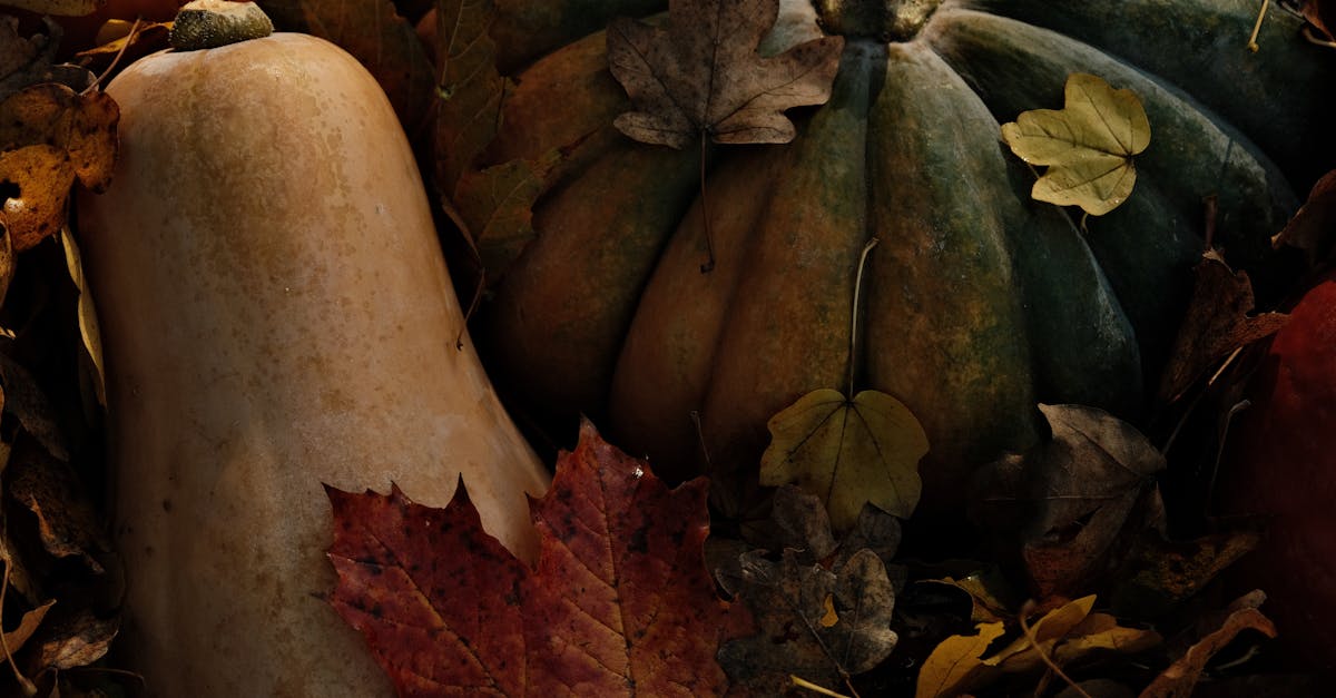 découvrez la courge butternut : un légume savoureux et polyvalent, parfait pour des soupes réconfortantes, des gratins succulents ou même des desserts originaux. apprenez à la cuisiner et à en apprécier toutes les saveurs.