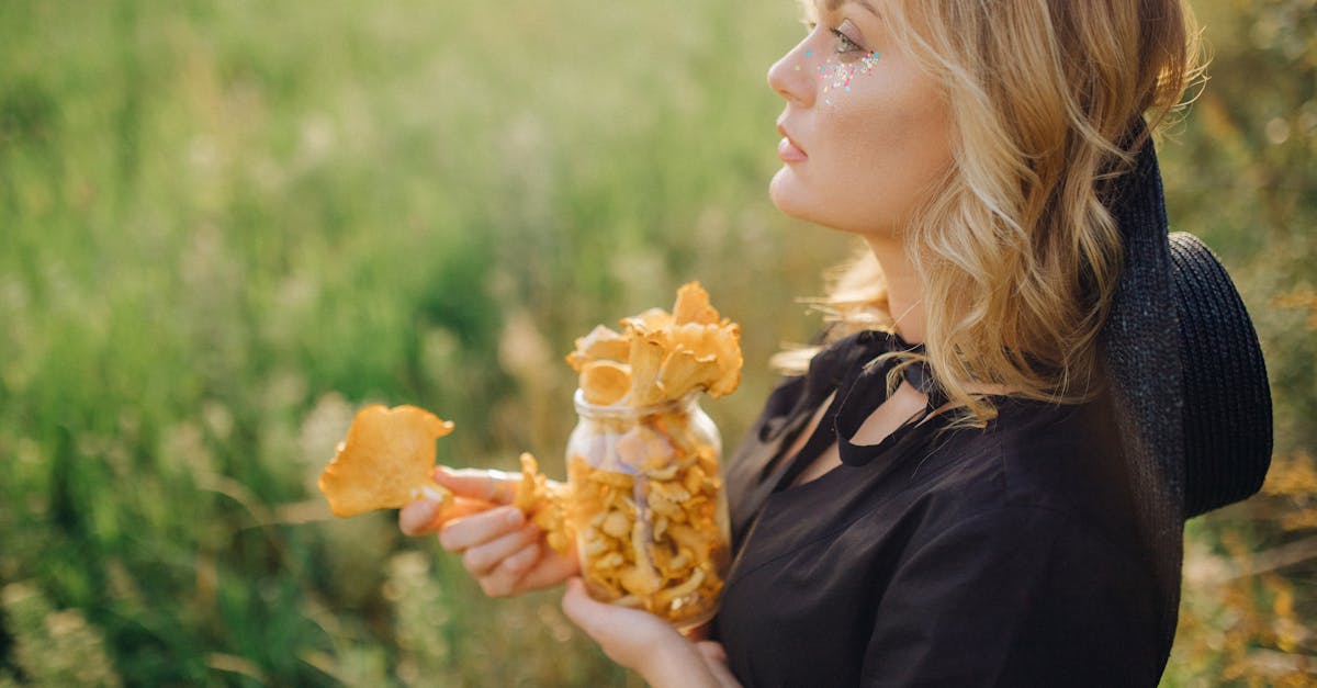 découvrez l'univers fascinant des chanterelles, ces champignons savoureux et recherchés en cuisine. apprenez à les reconnaître, à les cuisiner et à profiter de leurs bienfaits nutritionnels dans vos plats. explorez des recettes innovantes et savoureuses pour sublimer vos repas.