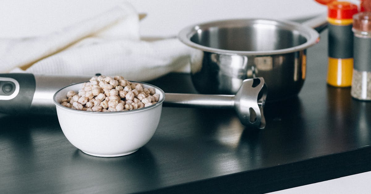 découvrez les bienfaits des pois chiches, une légumineuse riche en protéines, en fibres et en nutriments. apprenez à les cuisiner dans des plats savoureux et sains, idéaux pour une alimentation équilibrée.