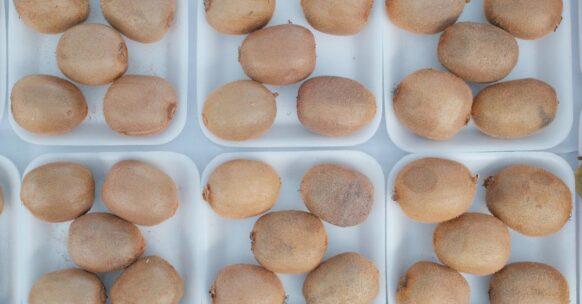 découvrez l'univers veggie : des recettes savoureuses, des astuces culinaires et des conseils nutritionnels pour une alimentation saine et respectueuse de l'environnement. explorez notre sélection de plats végétariens qui raviront vos papilles.